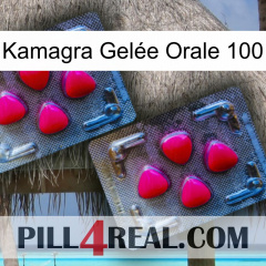 Kamagra Gelée Orale 100 14